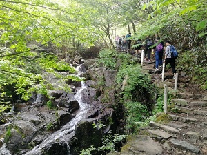 QQ图片20180503122018.jpg